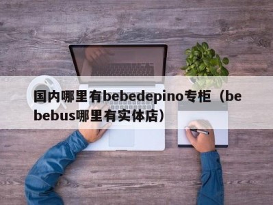 国内哪里有bebedepino专柜（bebebus哪里有实体店）