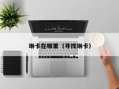 琳卡在哪里（寻找琳卡）