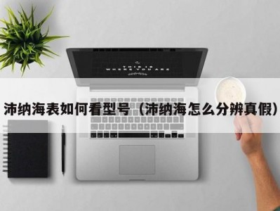 沛纳海表如何看型号（沛纳海怎么分辨真假）