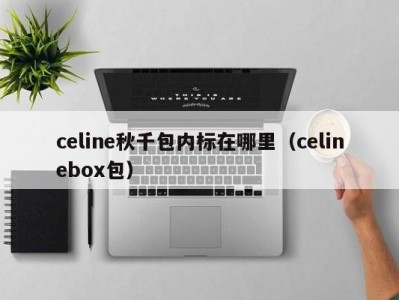 celine秋千包内标在哪里（celinebox包）