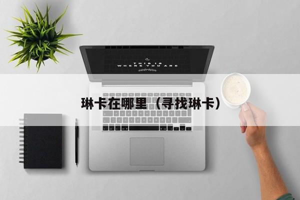 琳卡在哪里(寻找琳卡)
