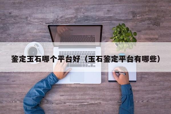 鉴定玉石哪个平台好(玉石鉴定平台有哪些)