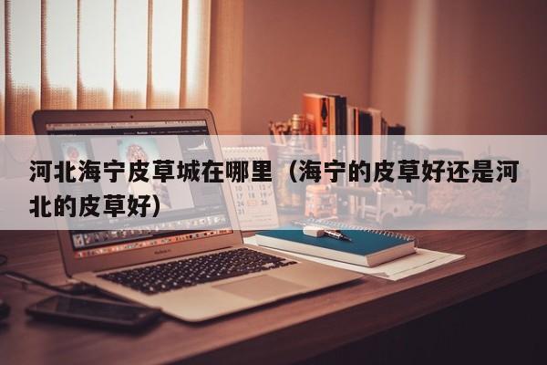 河北海宁皮草城在哪里(海宁的皮草好还是河北的皮草好)