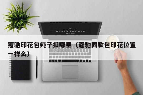 蔻驰印花包绳子扣哪里(蔻驰同款包印花位置一样么)