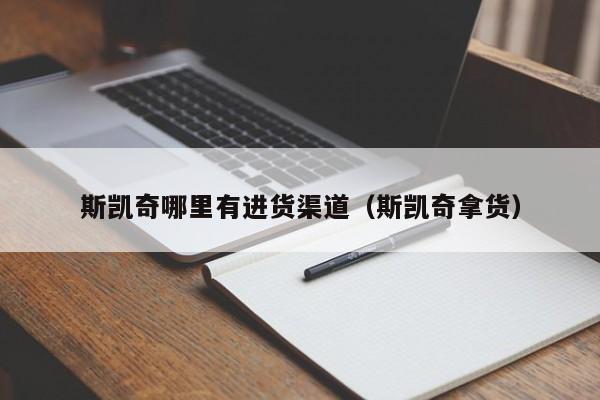 斯凯奇哪里有进货渠道(斯凯奇拿货)