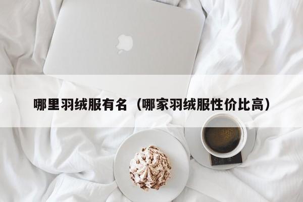 哪里羽绒服有名(哪家羽绒服性价比高)