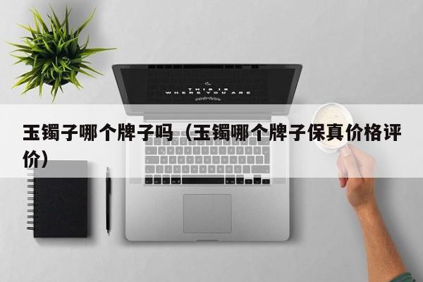 玉镯子哪个牌子吗(玉镯哪个牌子保真价格评价)