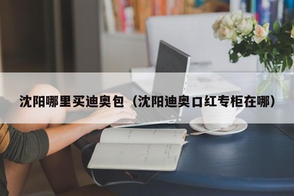 沈阳哪里买迪奥包(沈阳迪奥口红专柜在哪)
