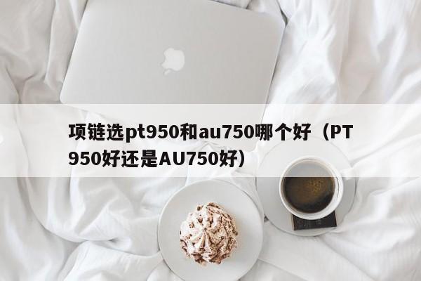 项链选pt950和au750哪个好(PT950好还是AU750好)