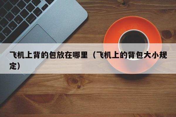 飞机上背的包放在哪里(飞机上的背包大小规定)