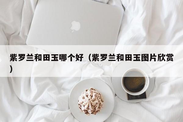 紫罗兰和田玉哪个好(紫罗兰和田玉图片欣赏)
