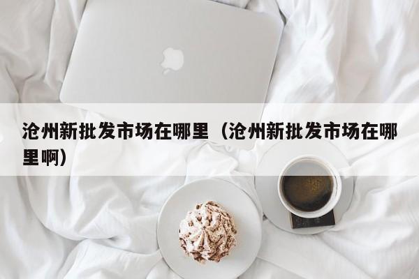 沧州新批发市场在哪里(沧州新批发市场在哪里啊)