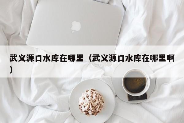 武义源口水库在哪里(武义源口水库在哪里啊)