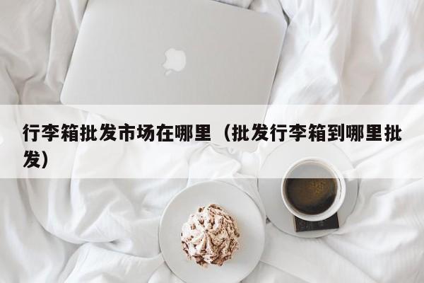 行李箱批发市场在哪里(批发行李箱到哪里批发)