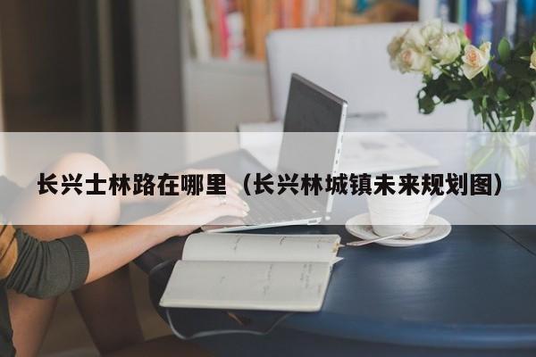 长兴士林路在哪里(长兴林城镇未来规划图)
