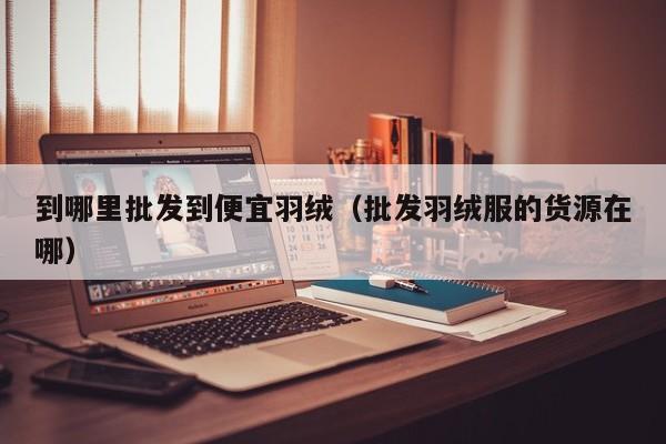到哪里批发到便宜羽绒(批发羽绒服的货源在哪)