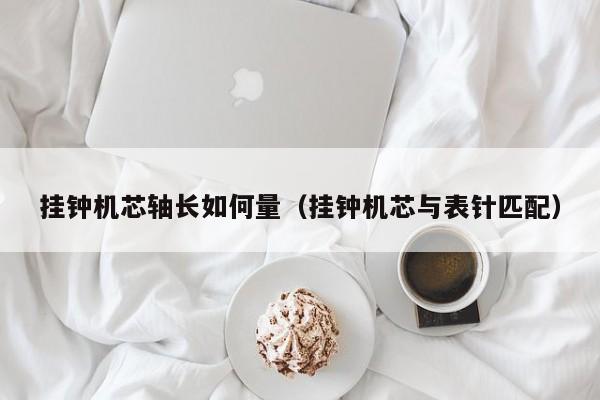 挂钟机芯轴长如何量(挂钟机芯与表针匹配)