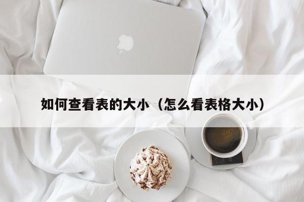 如何查看表的大小(怎么看表格大小)