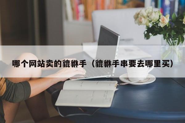 哪个网站卖的貔貅手(貔貅手串要去哪里买)