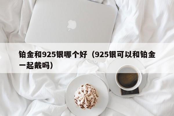 铂金和925银哪个好(925银可以和铂金一起戴吗)
