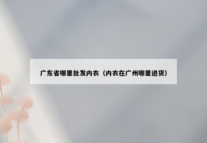 广东省哪里批发内衣(内衣在广州哪里进货)