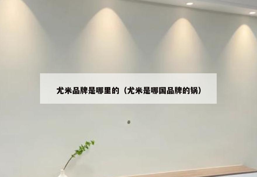 尤米品牌是哪里的(尤米是哪国品牌的锅)