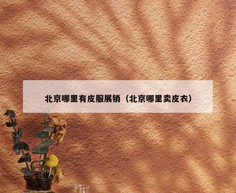 北京哪里有皮服展销(北京哪里卖皮衣)