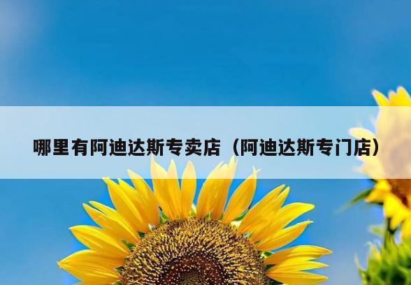 哪里有阿迪达斯专卖店(阿迪达斯专门店)