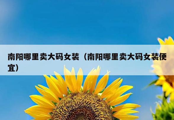 南阳哪里卖大码女装(南阳哪里卖大码女装便宜)