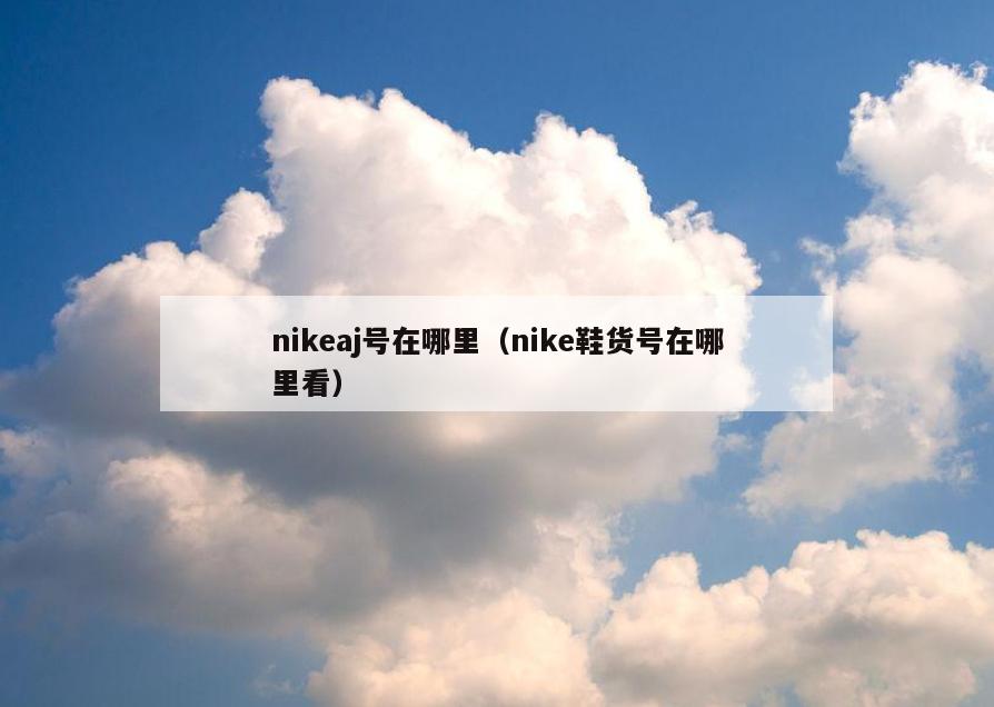 nikeaj号在哪里(nike鞋货号在哪里看)