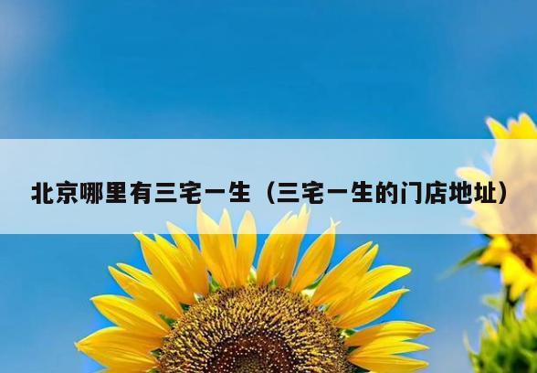 北京哪里有三宅一生(三宅一生的门店地址)