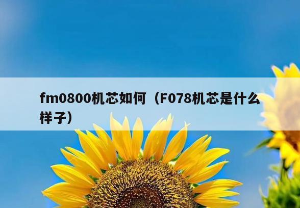 fm0800机芯如何(F078机芯是什么样子)