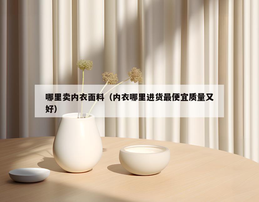 哪里卖内衣面料(内衣哪里进货最便宜质量又好)