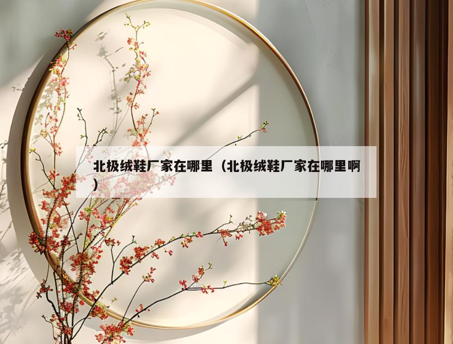 北极绒鞋厂家在哪里(北极绒鞋厂家在哪里啊)