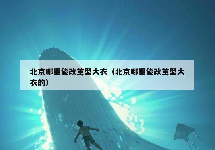 北京哪里能改茧型大衣(北京哪里能改茧型大衣的)