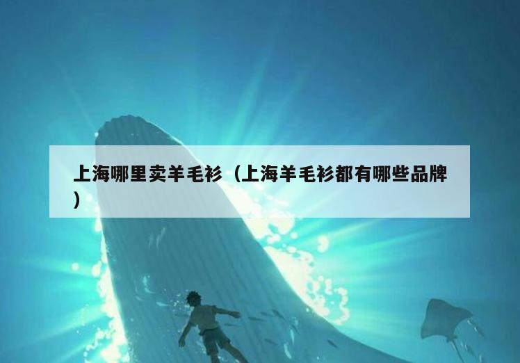 上海哪里卖羊毛衫(上海羊毛衫都有哪些品牌)