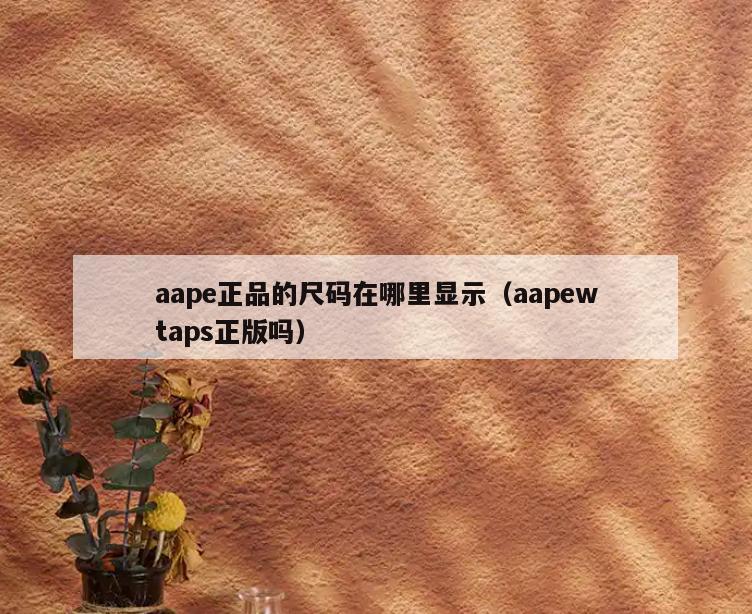 aape正品的尺码在哪里显示(aapewtaps正版吗)