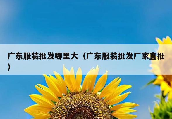 广东服装批发哪里大(广东服装批发厂家直批)