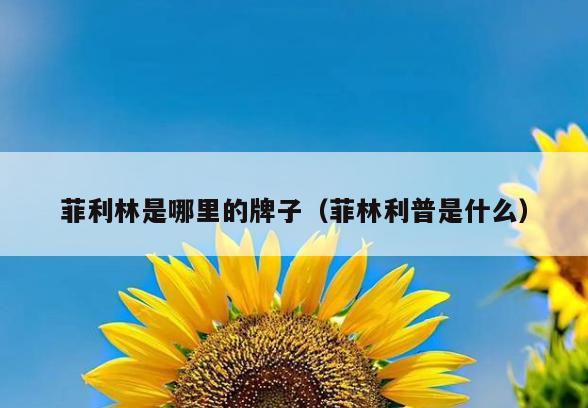 菲利林是哪里的牌子(菲林利普是什么)