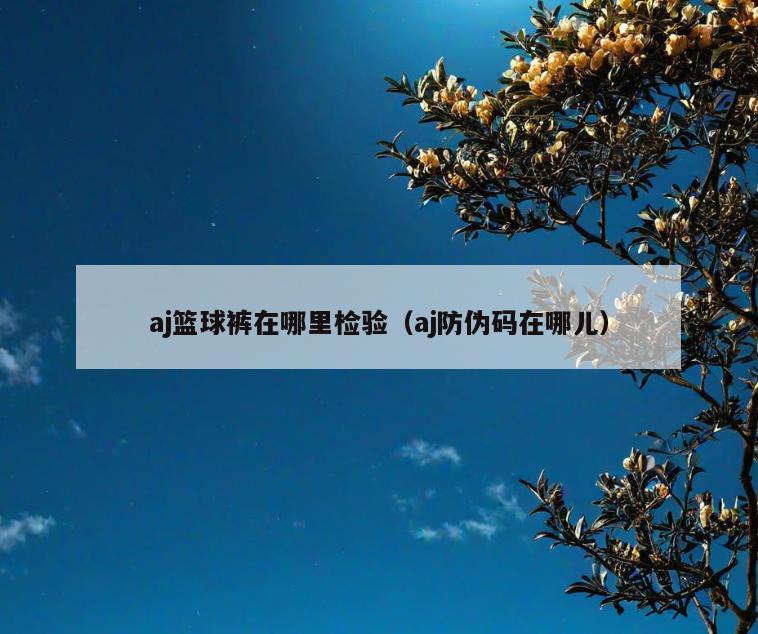 aj篮球裤在哪里检验(aj防伪码在哪儿)