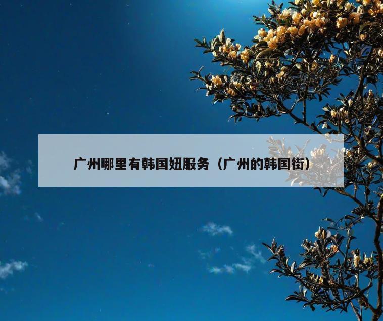 广州哪里有韩国妞服务(广州的韩国街)