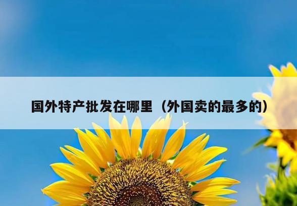 国外特产批发在哪里(外国卖的最多的)