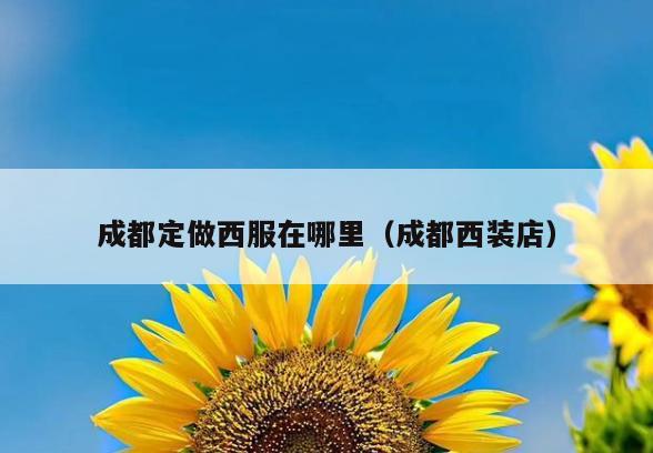 成都定做西服在哪里(成都西装店)