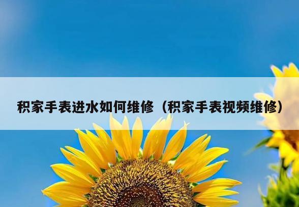 积家手表进水如何维修(积家手表视频维修)