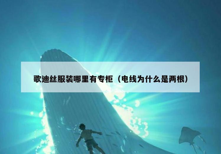 歌迪丝服装哪里有专柜(电线为什么是两根)