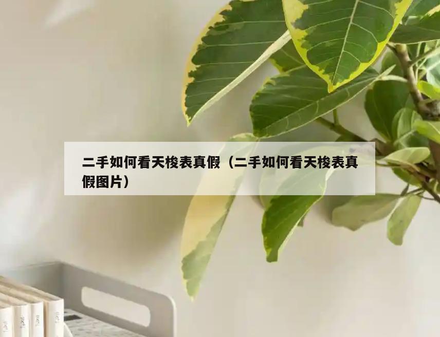 二手如何看天梭表真假(二手如何看天梭表真假图片)