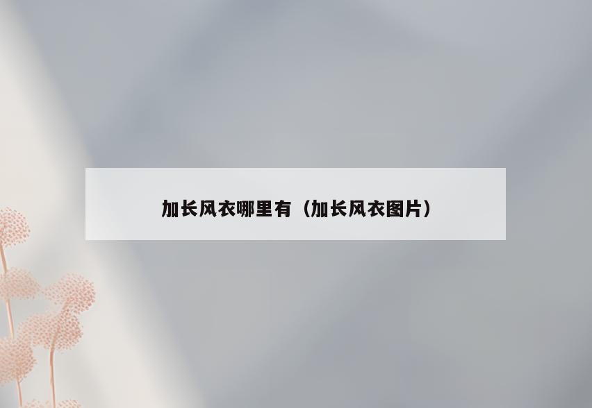 加长风衣哪里有(加长风衣图片)