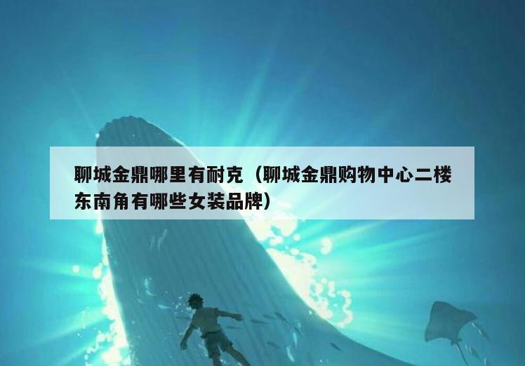 聊城金鼎哪里有耐克(聊城金鼎购物中心二楼东南角有哪些女装品牌)