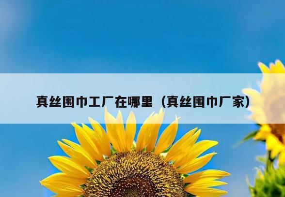 真丝围巾工厂在哪里(真丝围巾厂家)