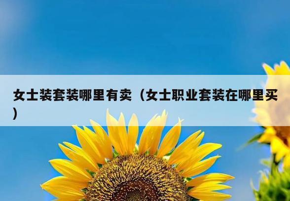女士装套装哪里有卖(女士职业套装在哪里买)